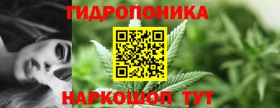 jwh Ставрополь
