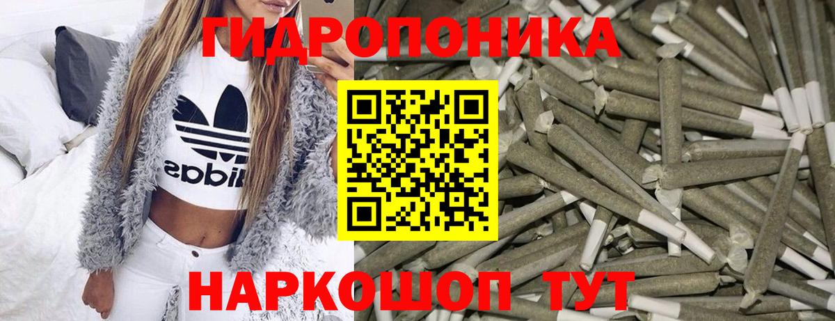 Аргун  Бошки Шишки MAZAR  МАРИХУАНА гибрид  Вход с VPN 